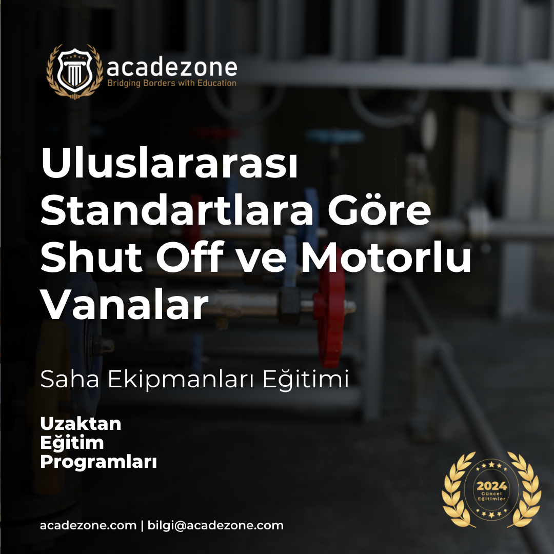 Uluslararası Standartlara Göre Shut Off ve Motorlu Vanalar
